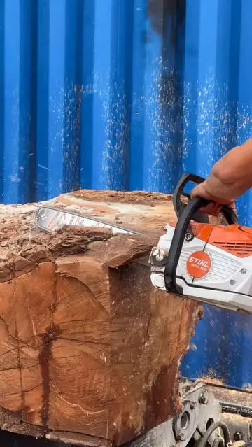 Dreaming about this walnut 💤  #asmr #sawmill #walnut #woodwork...