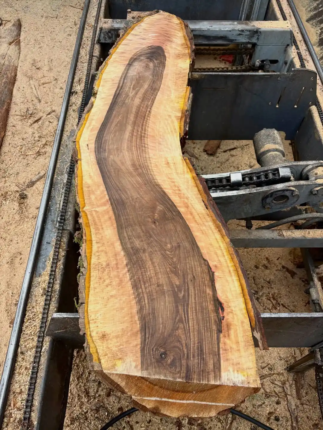 Check out some of our latest live edge timber slabs!  🔗 Visit our website fo...