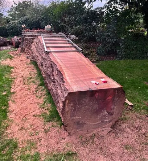 Live Edge Wood Suppliers based in The New Forest.